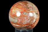 Massive, Colorful Petrified Wood Sphere - Madagascar #133676-1